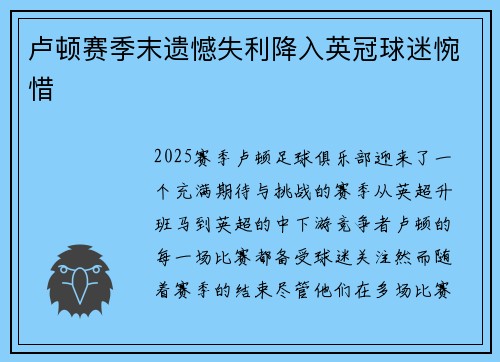 卢顿赛季末遗憾失利降入英冠球迷惋惜