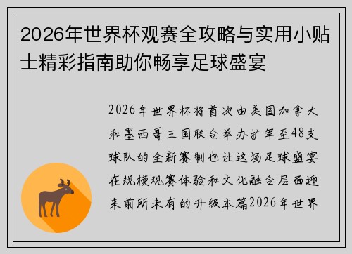 2026年世界杯观赛全攻略与实用小贴士精彩指南助你畅享足球盛宴